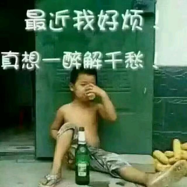 红色的玫瑰