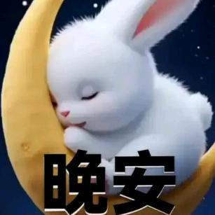 永不言败