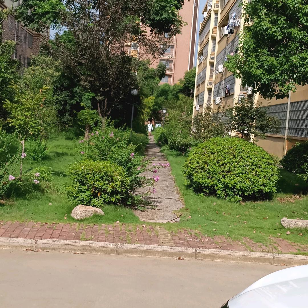 折䞚的鹰🦅