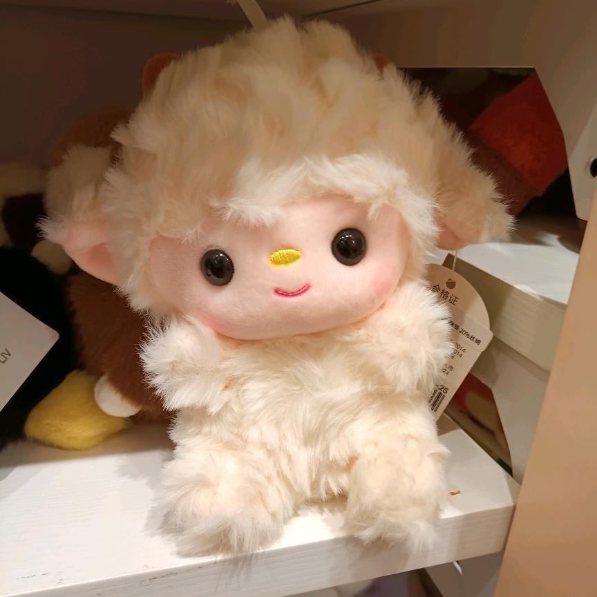 ✨王xixi