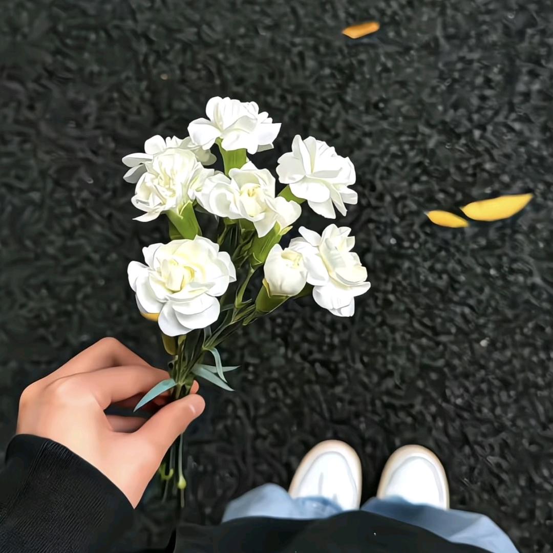 顺顺尼