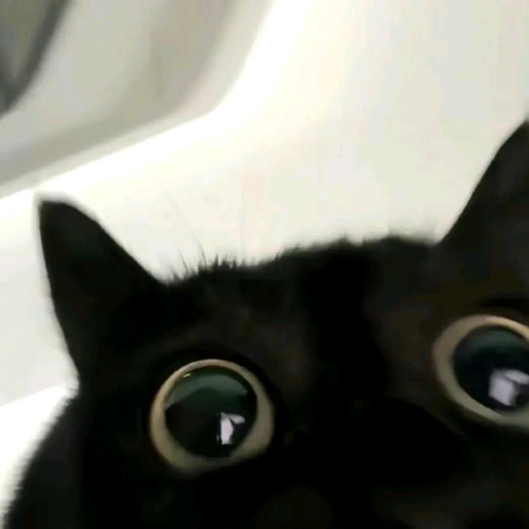 萬萬#