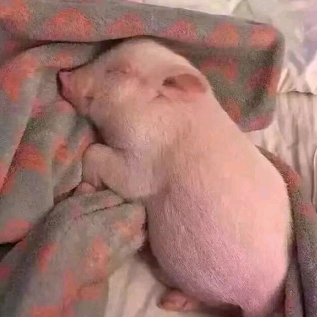 屿南@
