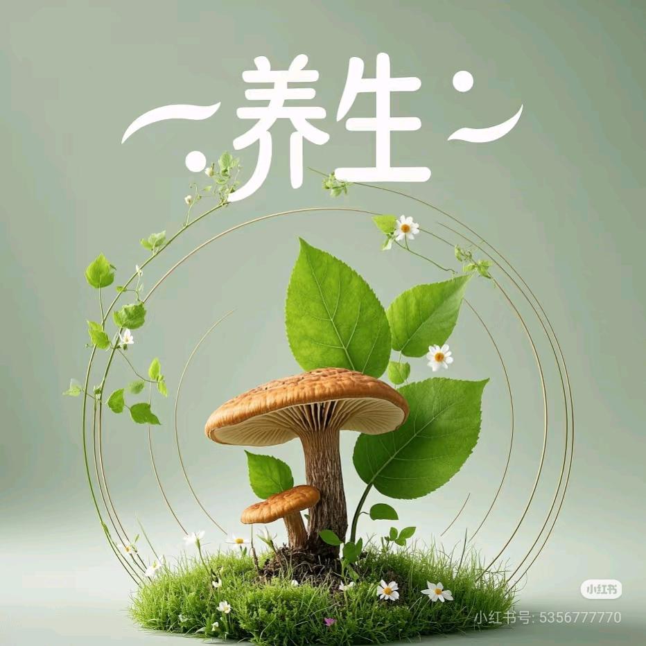 叶子说养生