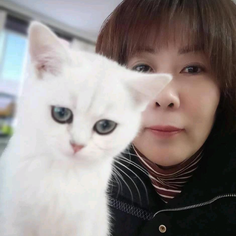 乐至吴名批发