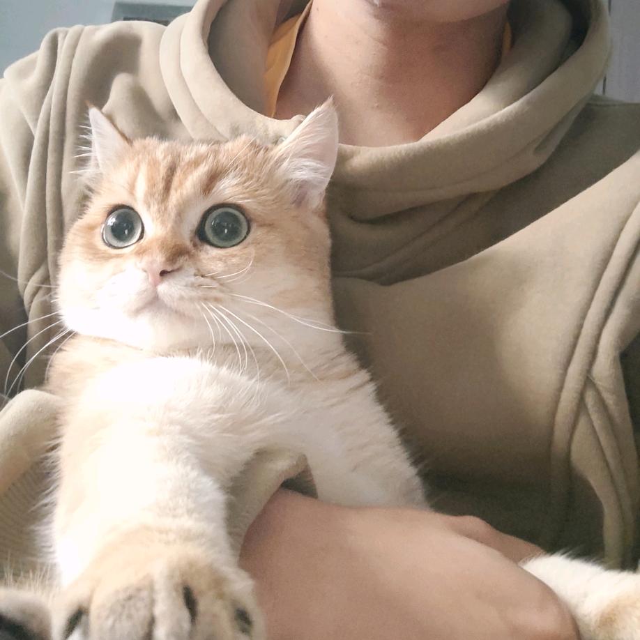 饭包的宝藏清单