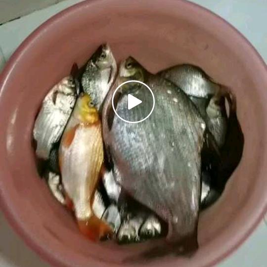 钓鱼佬