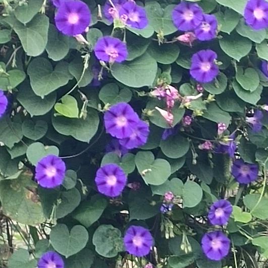 谁是我的另一半