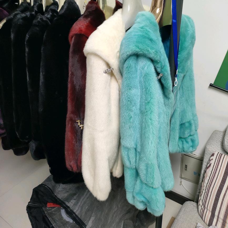 貂德海