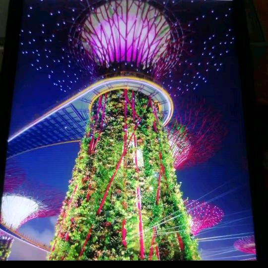 本人做装修地板水电