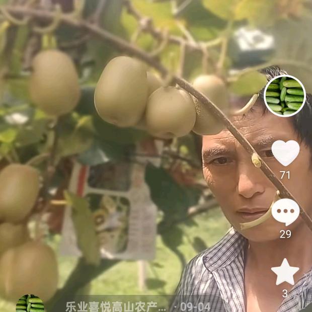 乐业喜悦高山农产精选店