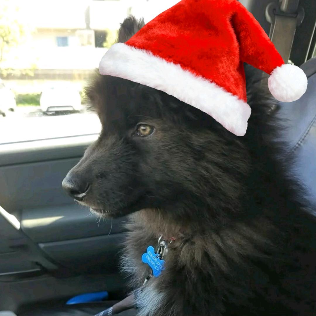 米国仁牛又堡秘方持有者