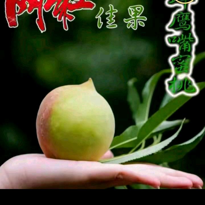 相缘