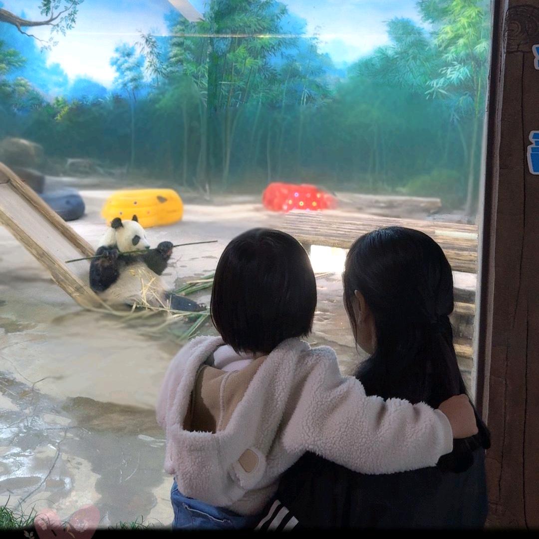 顾我安稳-又又外婆