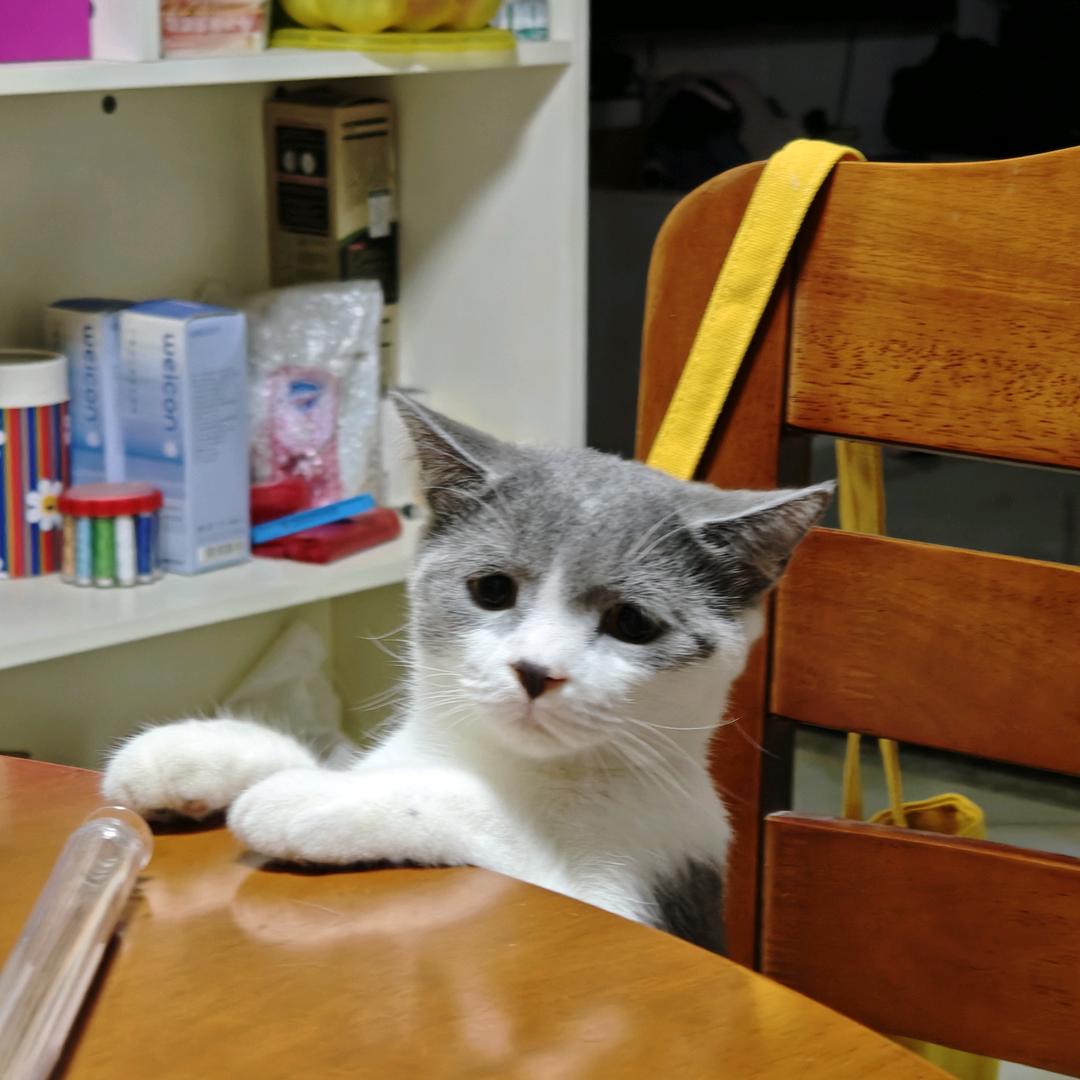 红豆深种此情未央