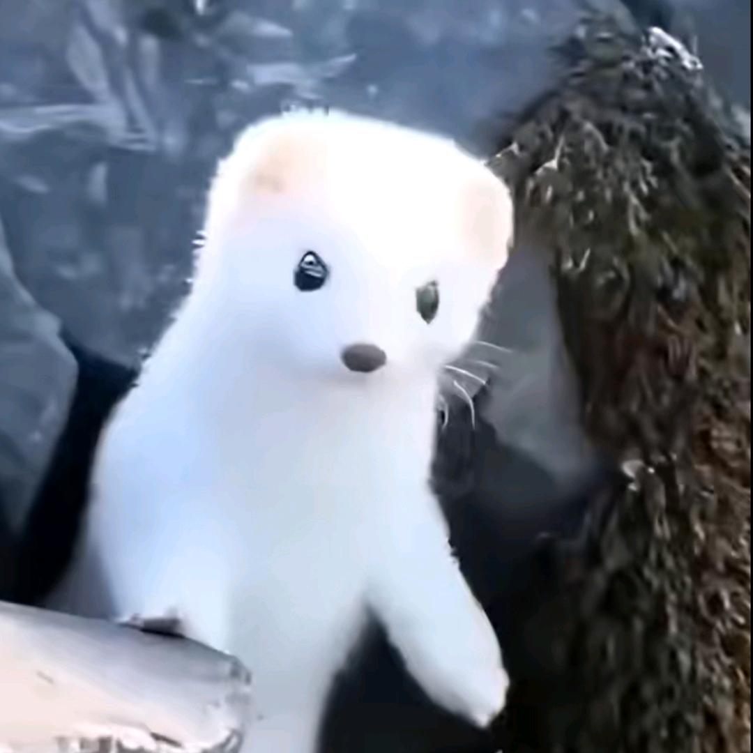 失恋