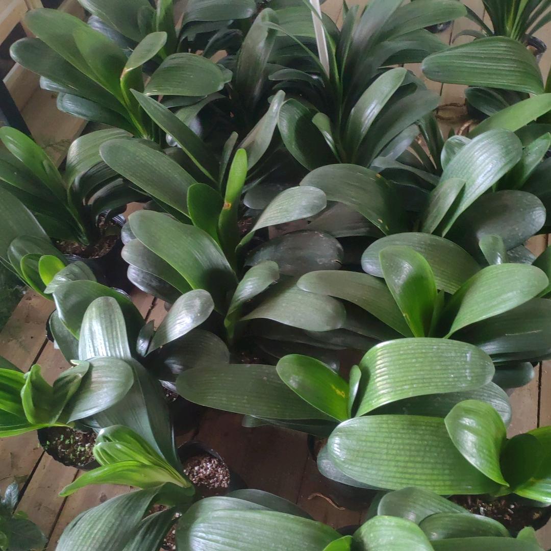 人生就像一场梦