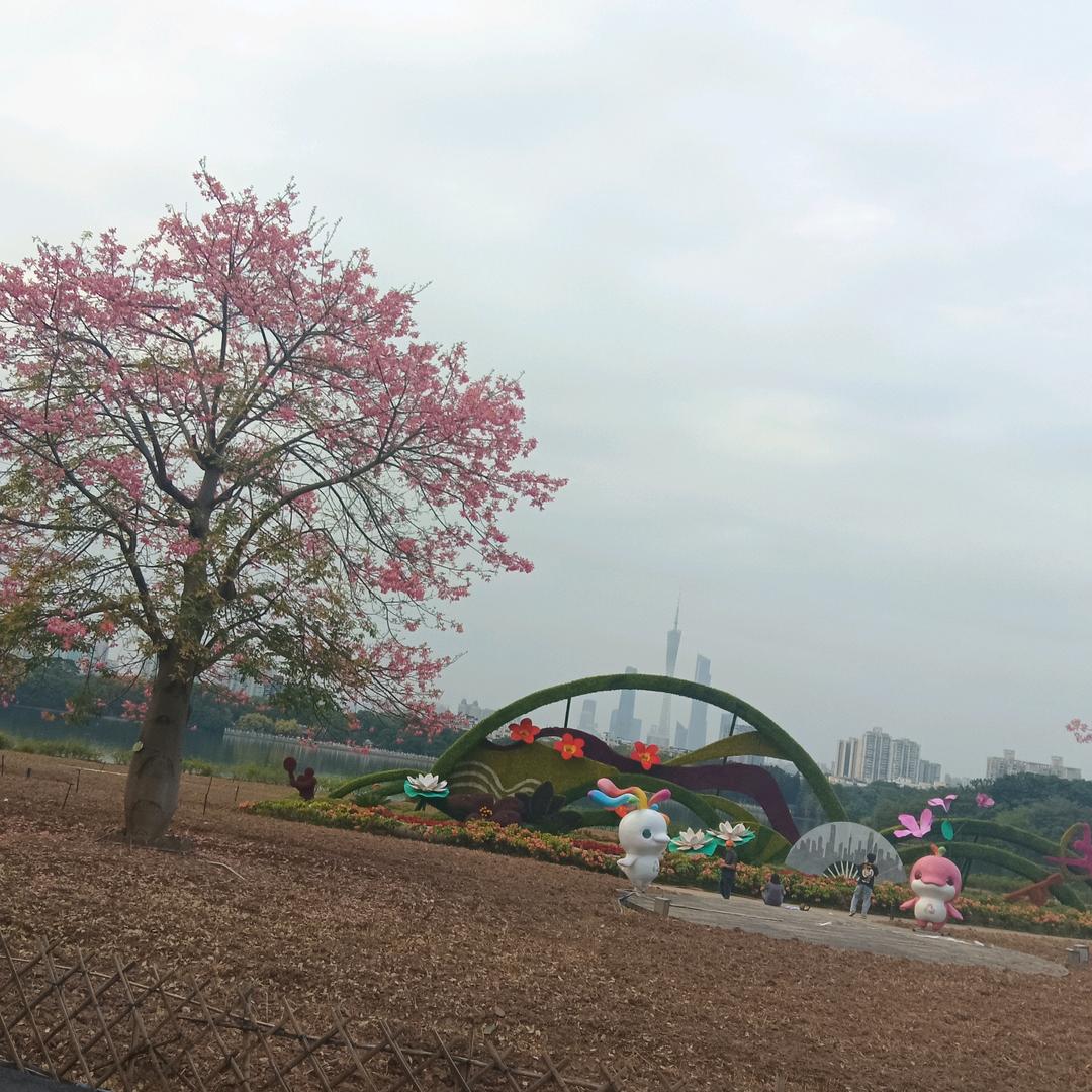 凼凼
