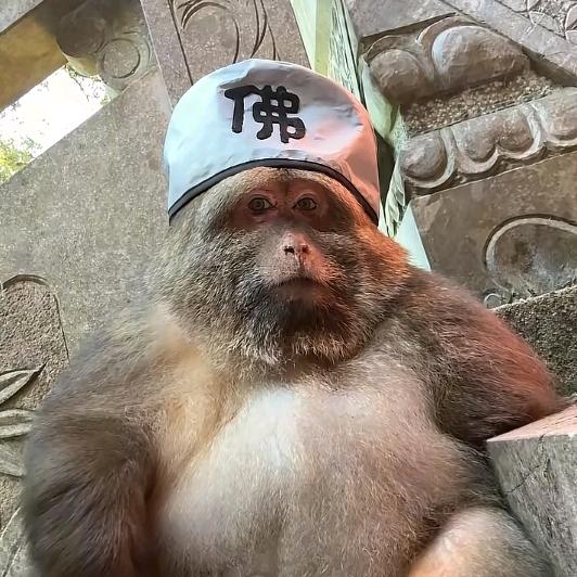 三宝持十善