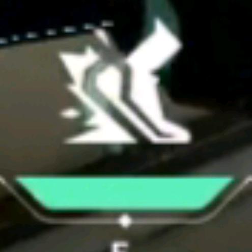 高敏玩家灵芝