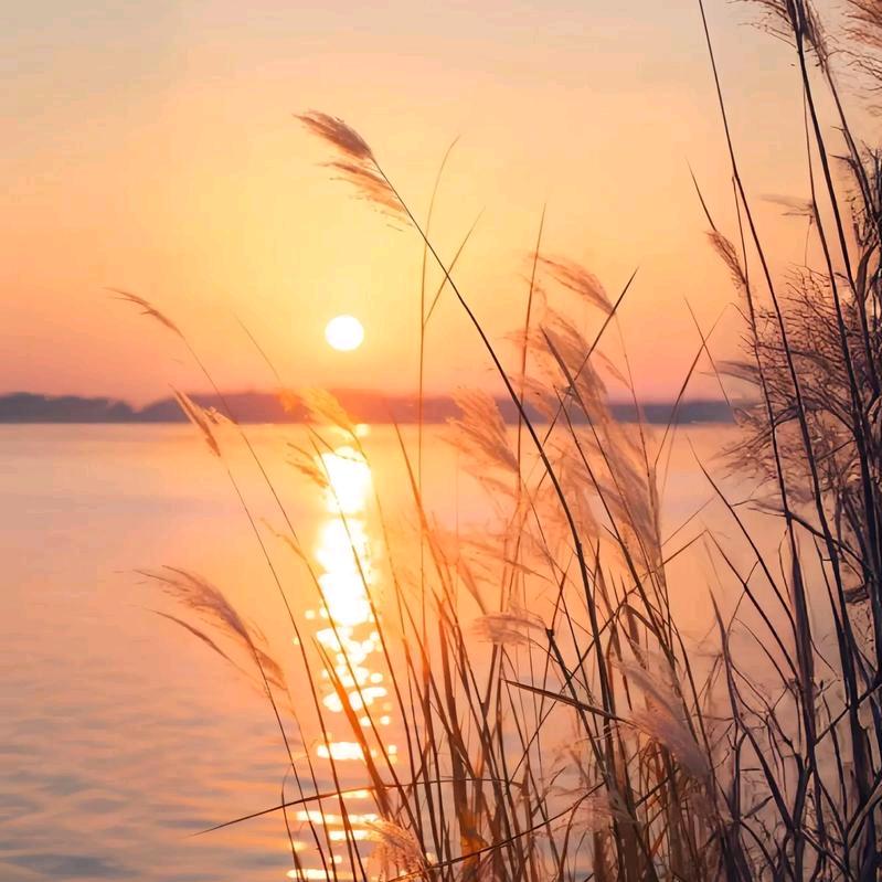 好姐妹好物优选