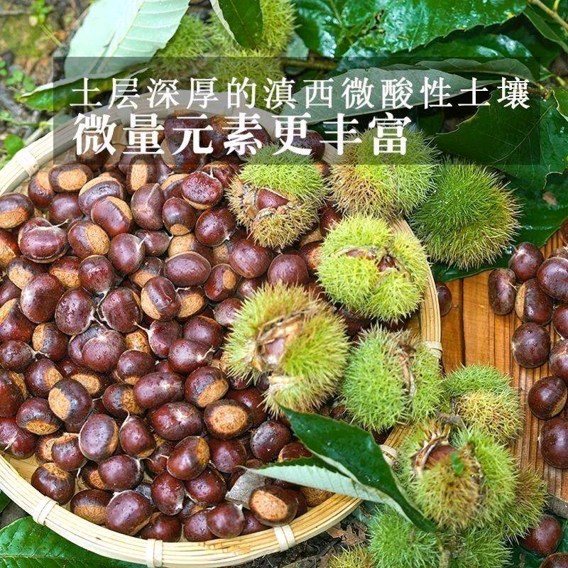 星如海商贸有限责任公司