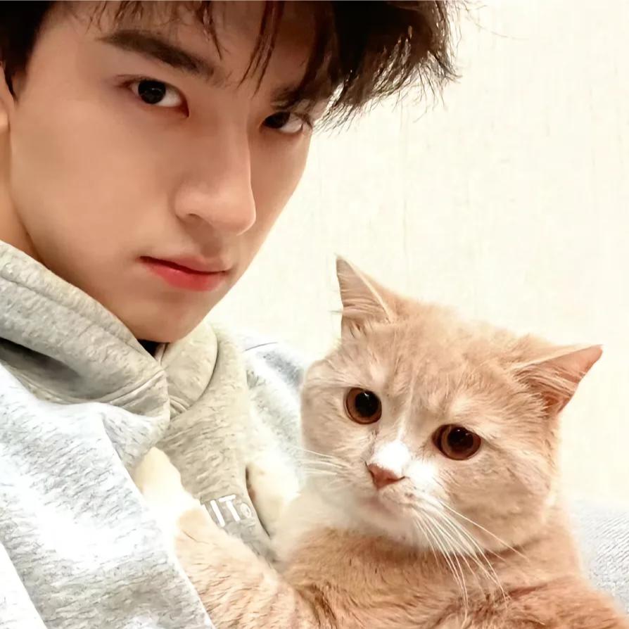 谭子豪（子豪二手车）