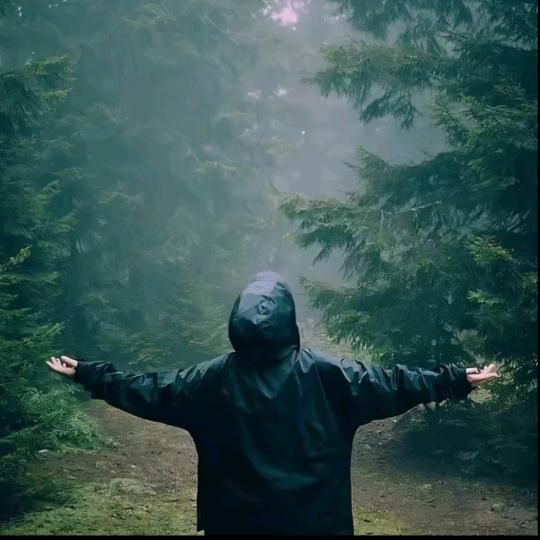 FREE