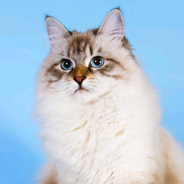 少说话，⚠️自己。