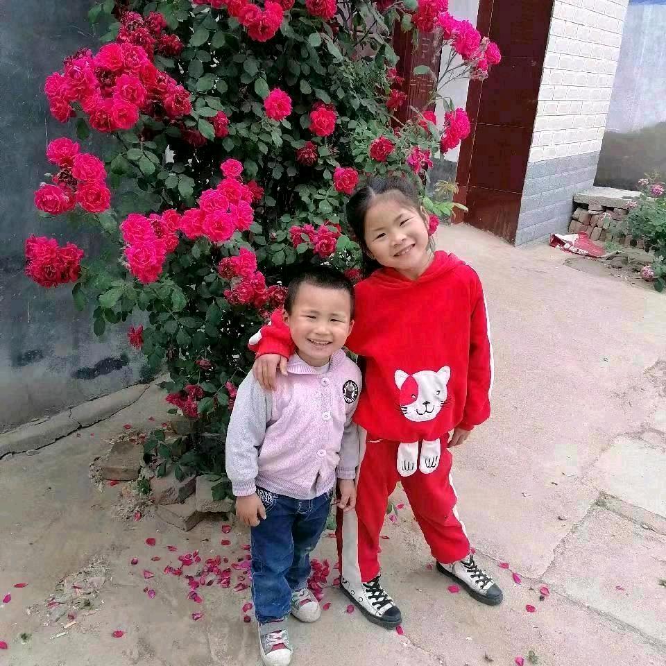🌹🌹雪花飞舞🌹🌹