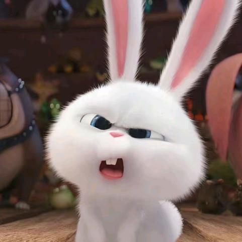 🦜怎么可以吃兔兔