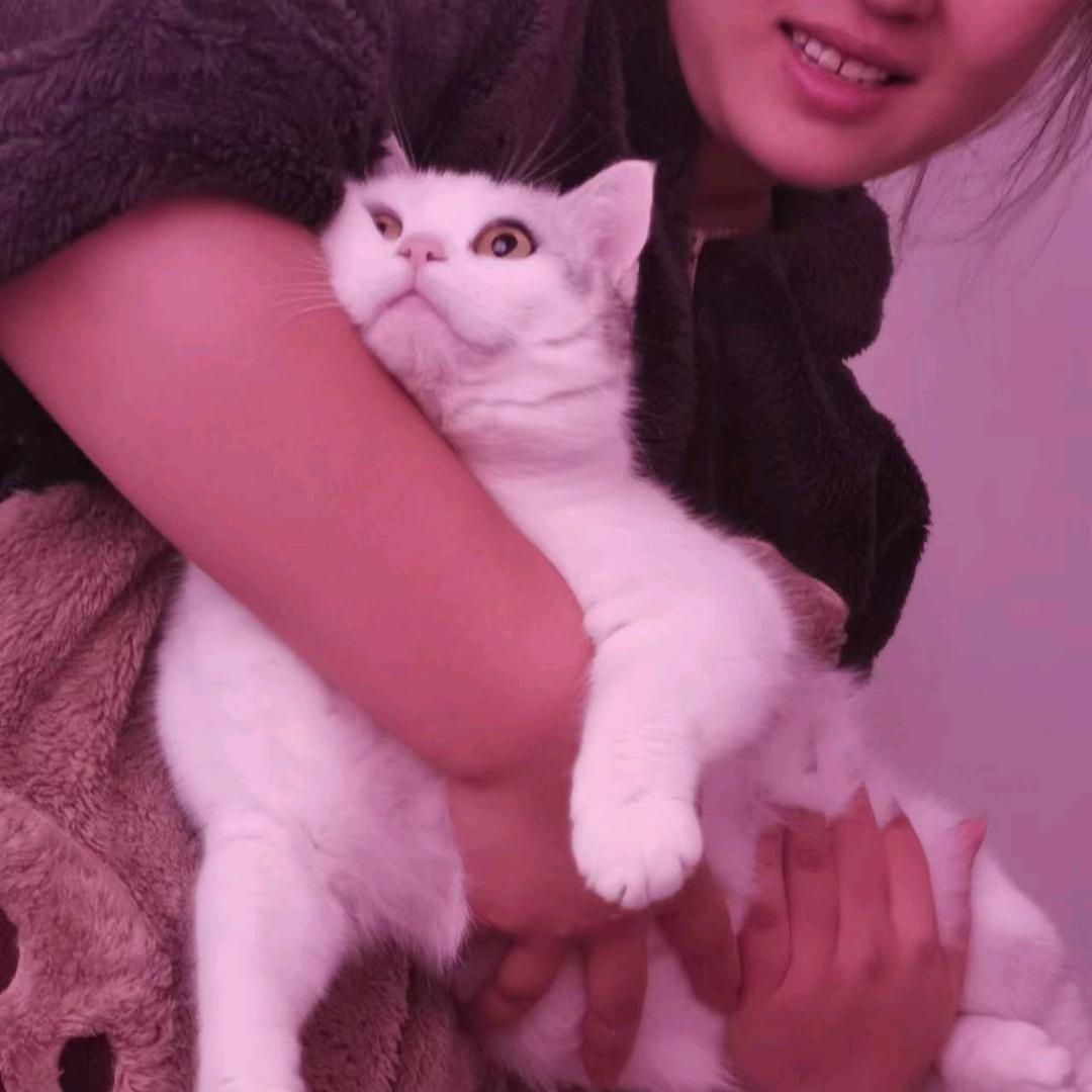 AAA苏州阳光板厂家