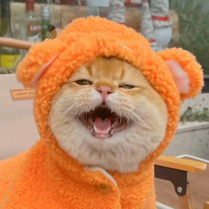 桃花猪（三角洲行动）128保底588w
