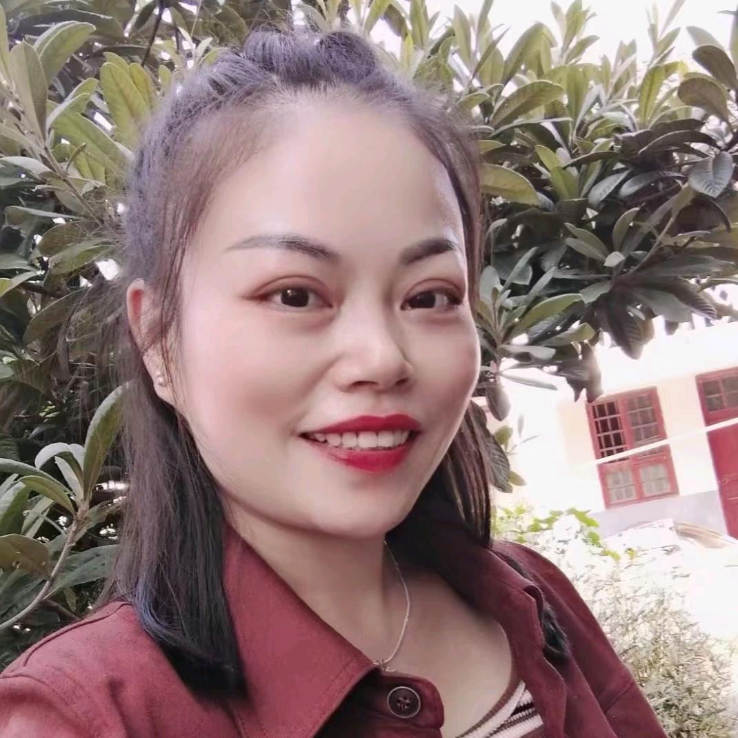 笨蛋的傻瓜