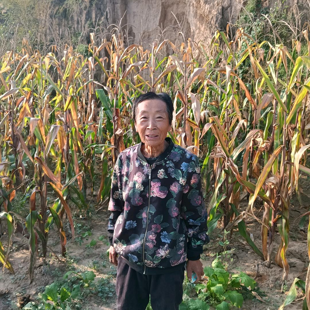 健康奶奶