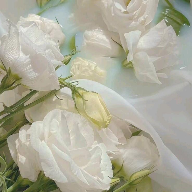 可可小百货的橱窗