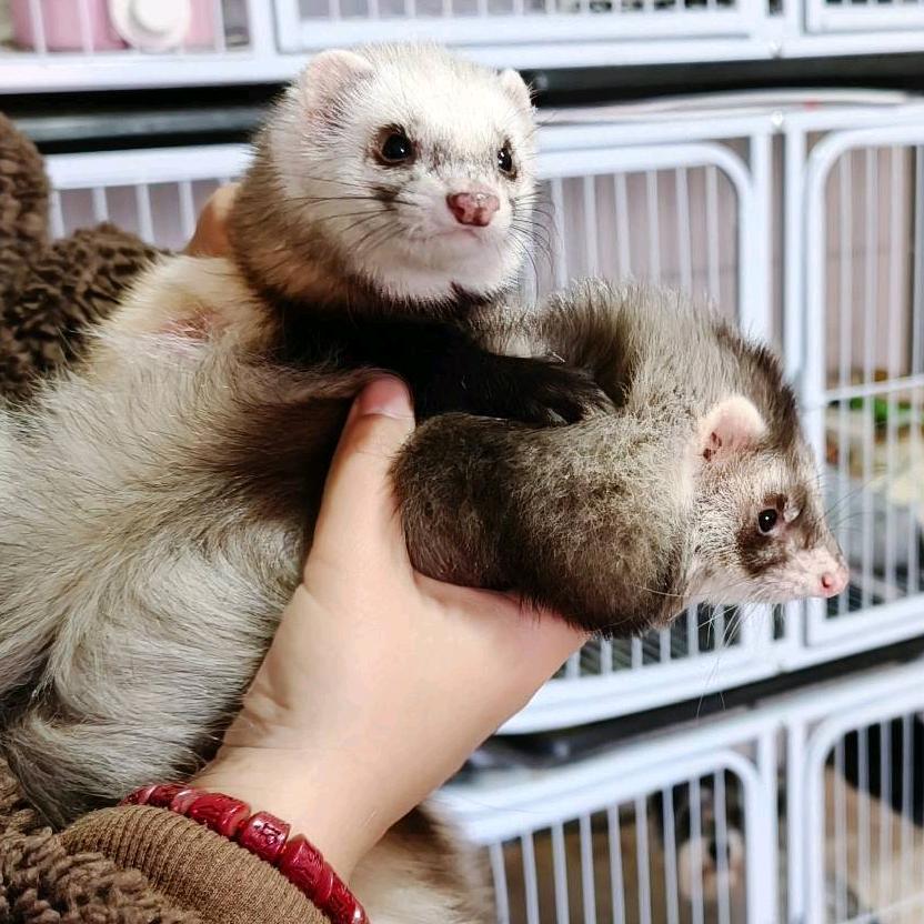 〰
