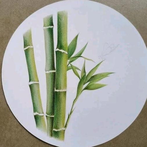 儿童成长伙伴孙老师