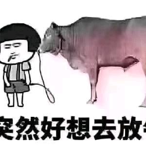 旺仔牛奶        ༼