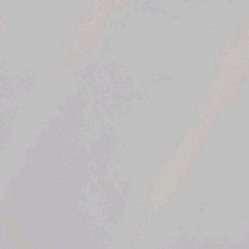 三羊
