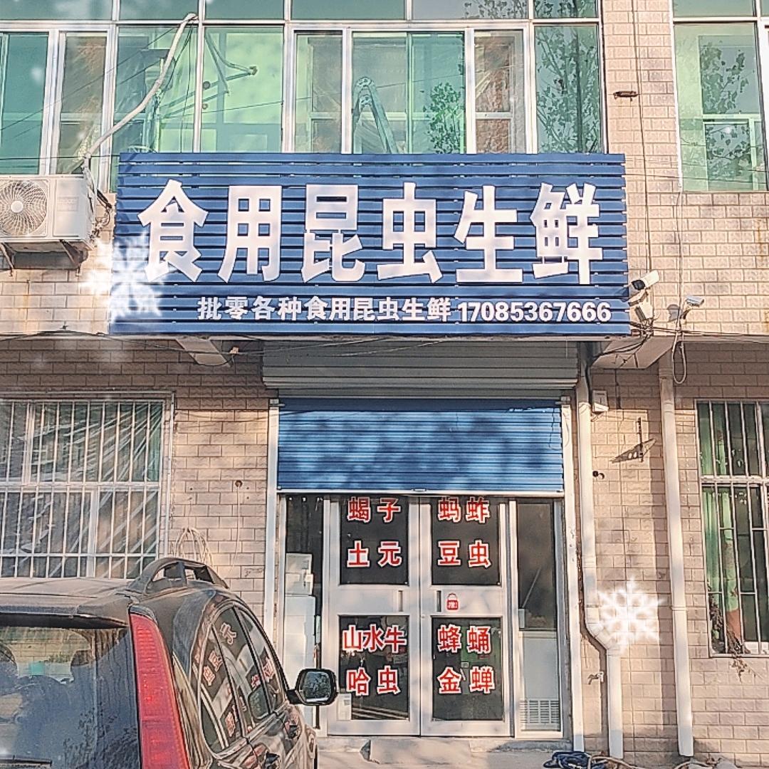 红河食用昆虫生鲜