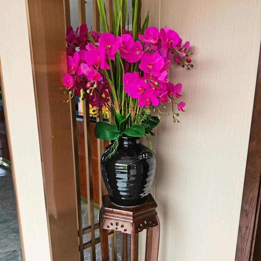 ～～大邓子～～