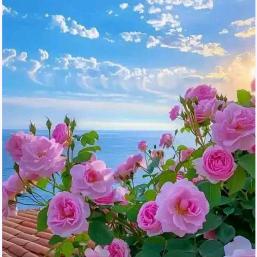 烟花雨淋湿了梦