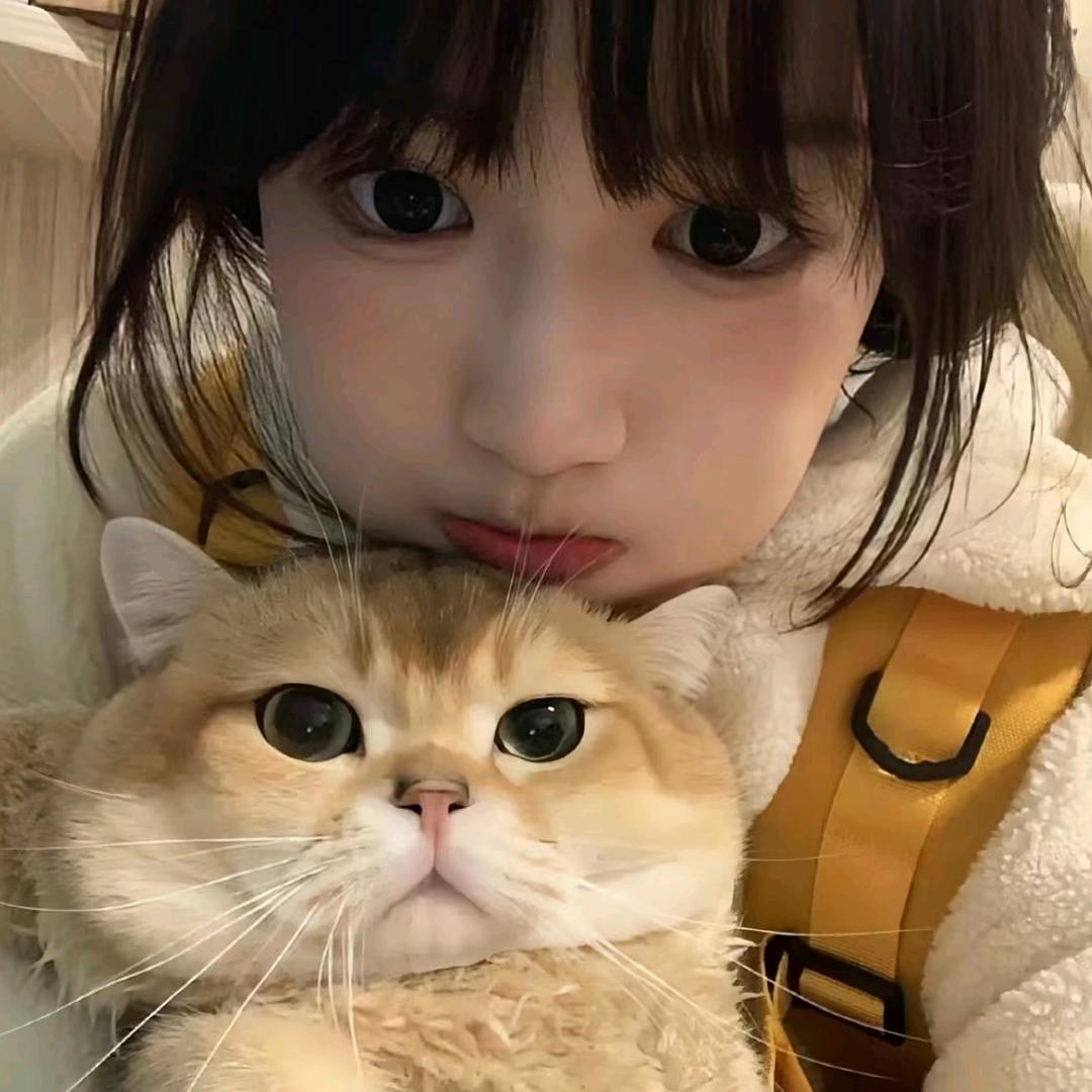 豆