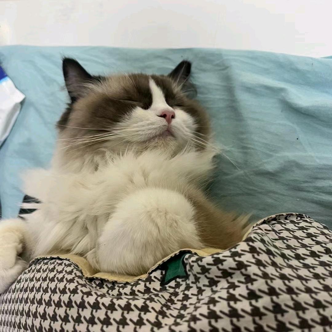 李想三旬
