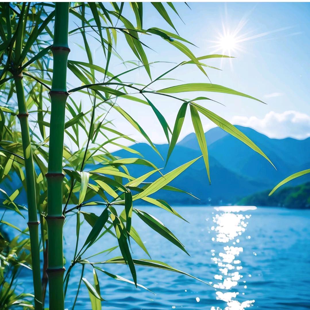 泠玥老师