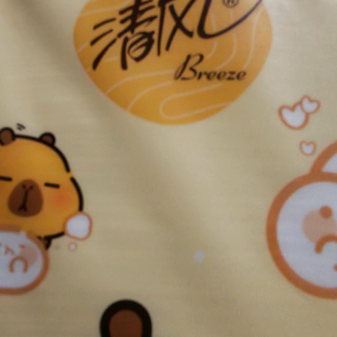优选品牌纸巾，供应链