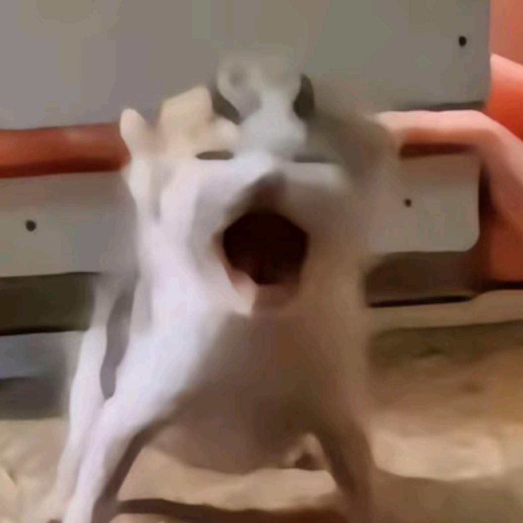 ……