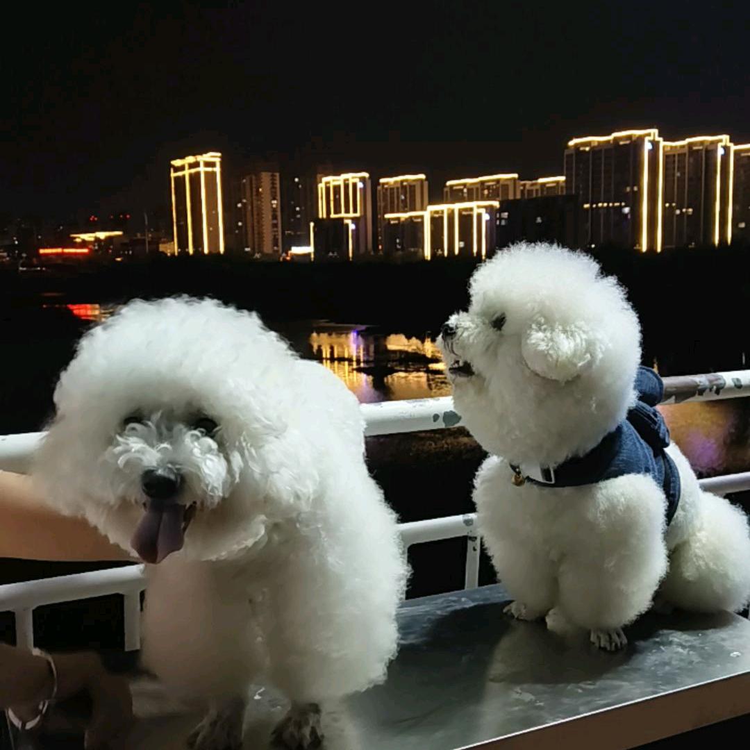 月亮照我心
