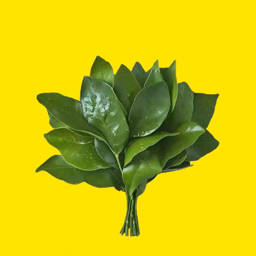 催→🦋